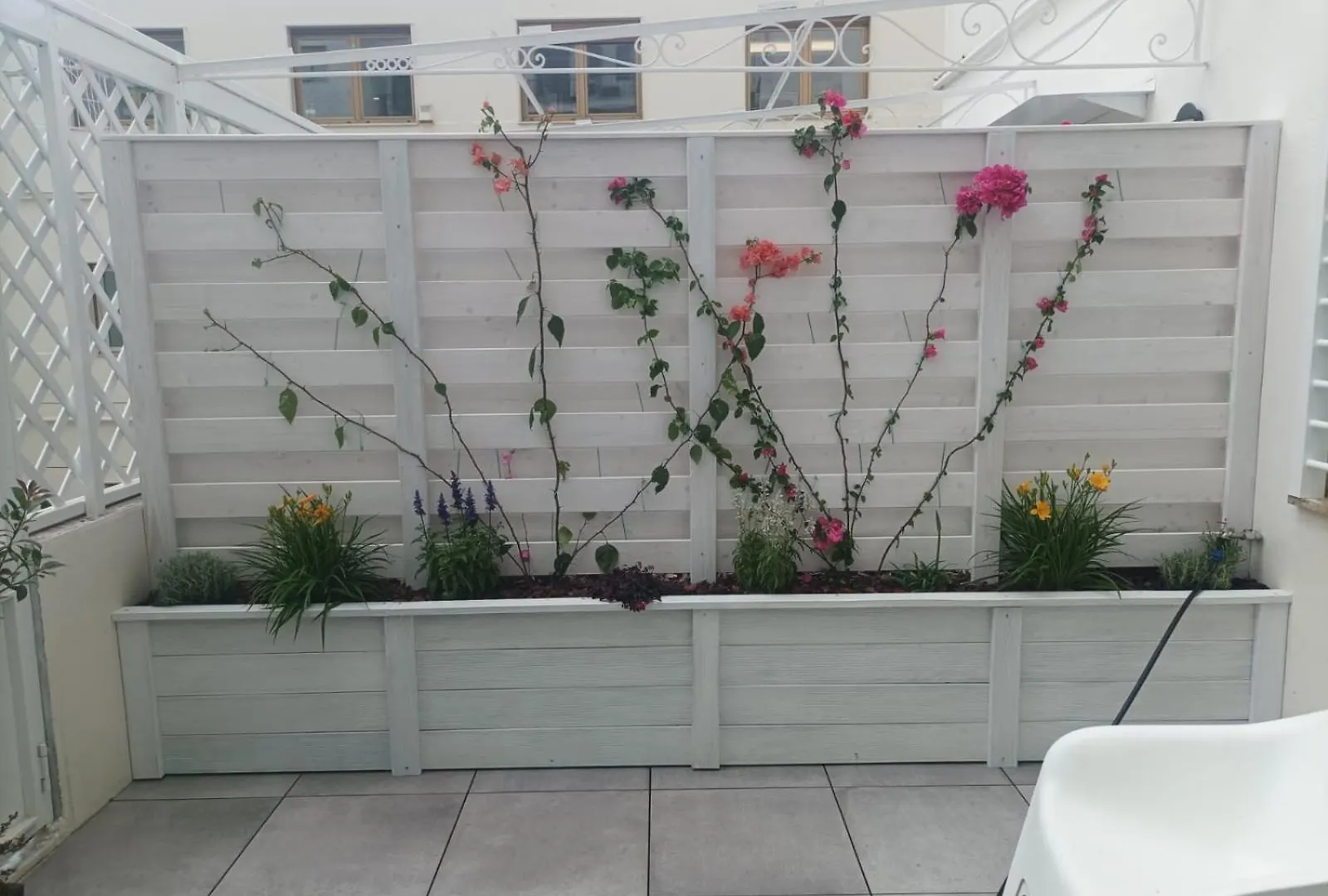 Domus Cervantes Apartment Naples 0*,  Italy